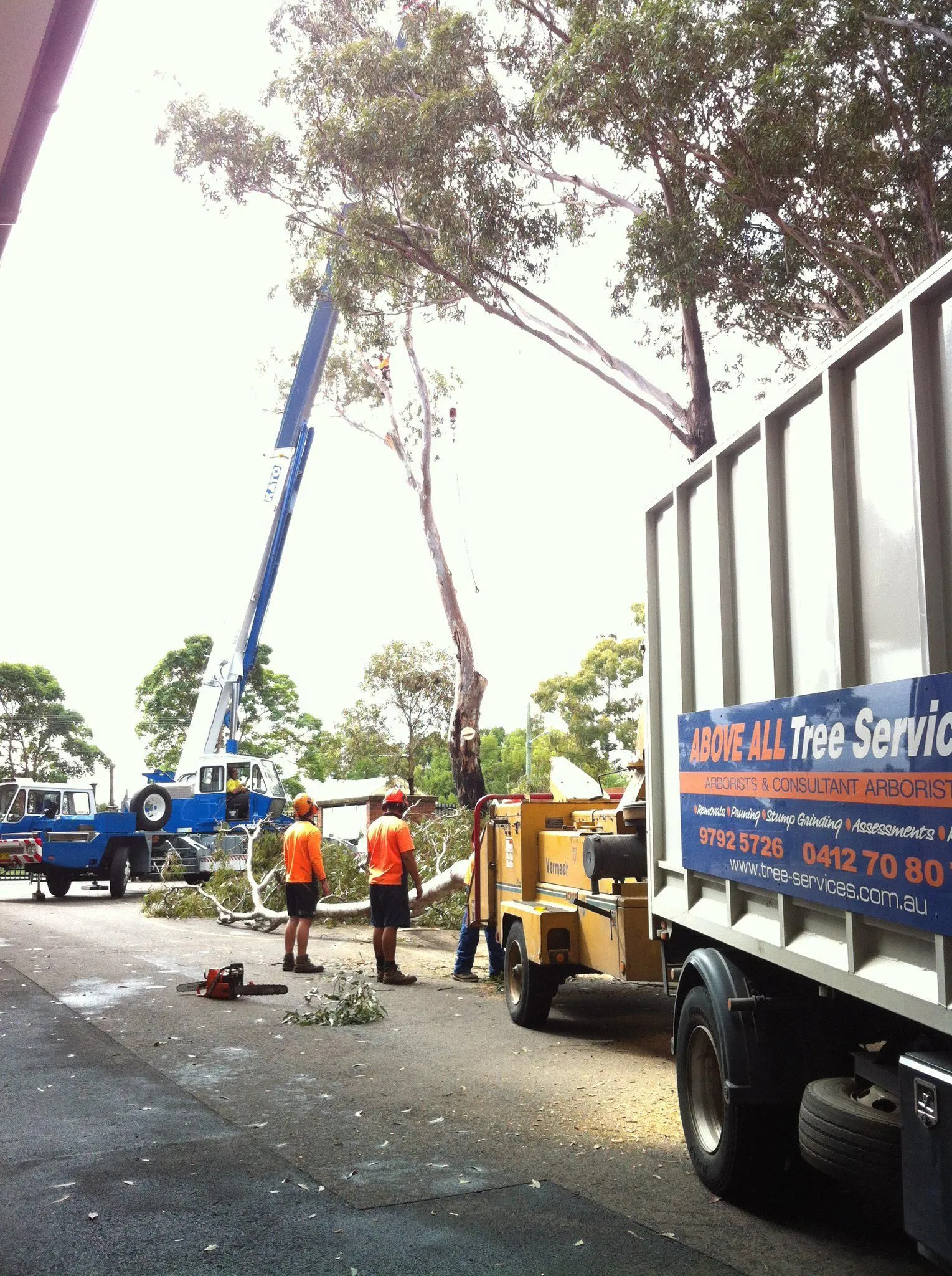 Above All Tree Services truck and crane on a street job