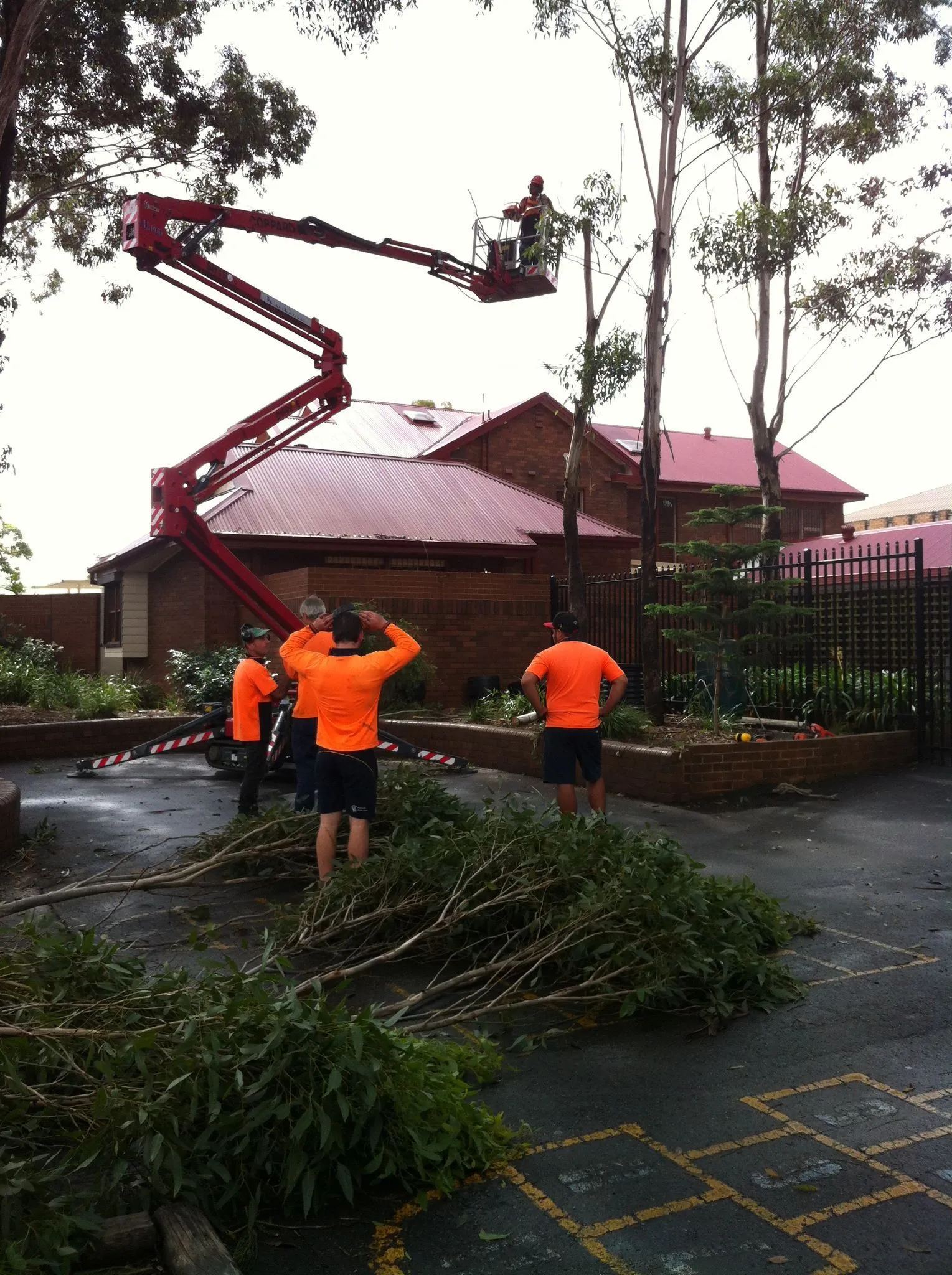 Arborist on an elevated work platform reducing a tree beside a brick house